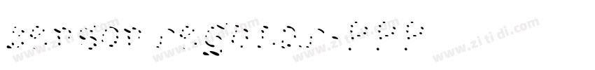 Benson Regular字体转换